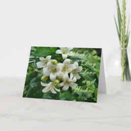 Tarjeta Jazmín del Día de la Madre