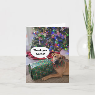 Tarjeta JCAPL Santa Gracias