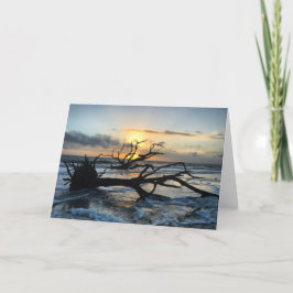 Tarjeta jekyll Island sunrise card #3 (ficha interior en b