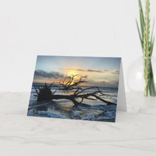 Tarjeta jekyll Island sunrise card #3 (ficha interior en b