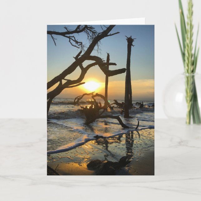 Tarjeta jekyll Island sunrise card #4 (ficha interior en b (Anverso)