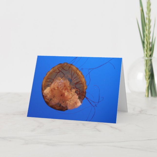 Tarjeta Jellyfish Greeting Card (Anverso)