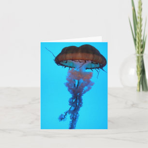 Tarjeta Jellyfish Notecard