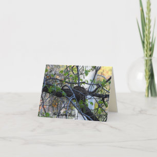 Tarjeta Jerarquía vacía Notecard