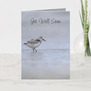 Tarjeta Jeremías 33:3 Llámame Versículo Bíblico Pájaro Cha