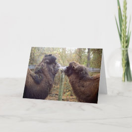 Tarjeta Jingle Baba y Google Mama