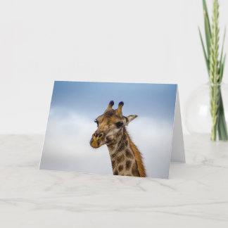 Tarjeta Jirafa de Suráfrica