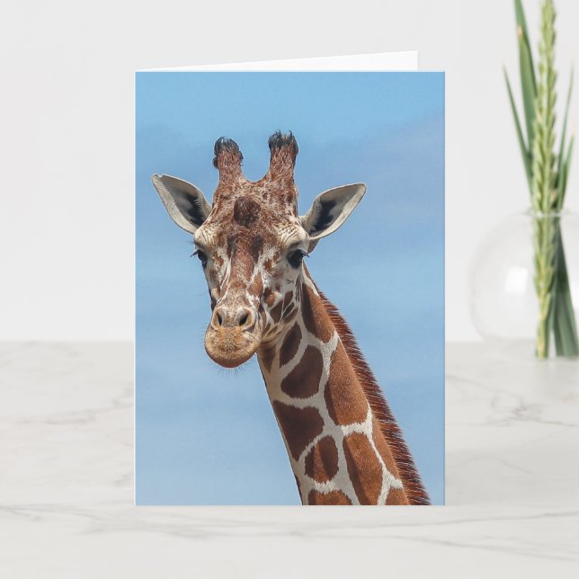 Tarjeta Jirafa que mira derecha mí (Anverso)