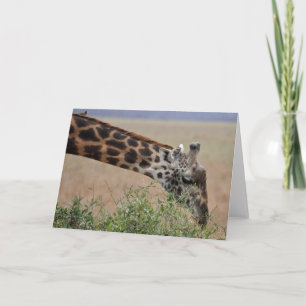 Tarjeta Jirafa, Serengeti