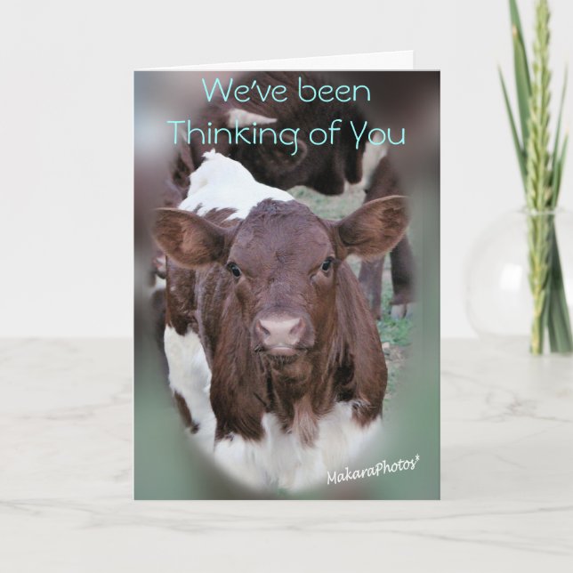 Tarjeta JolCrd-GetWell o Condolencia-personalizar (Anverso)