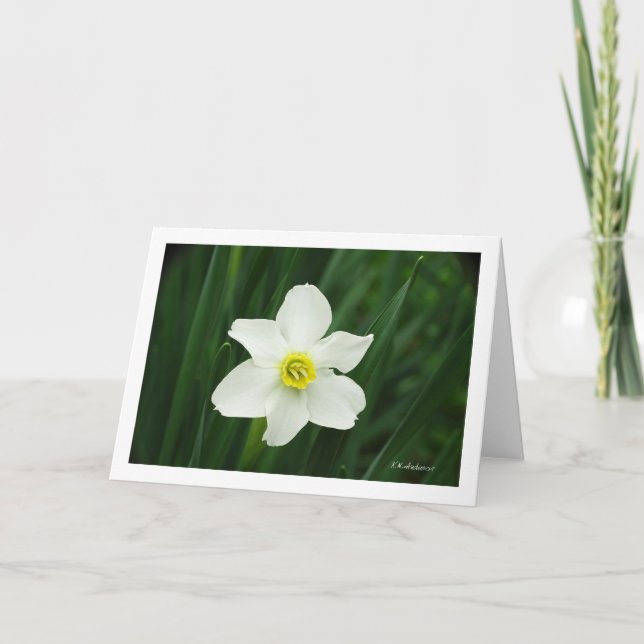 Tarjeta Jonquil en mi jardín (Anverso)