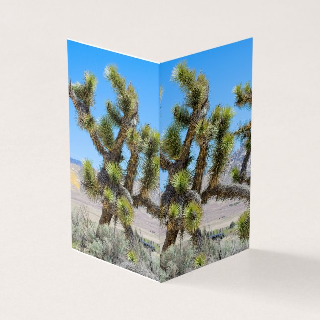 Tarjeta Joshua Tree en California (Exterior)