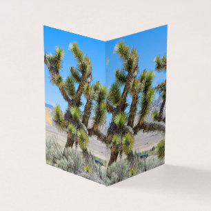 Tarjeta Joshua Tree en California