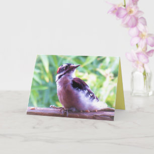 Tarjeta Joven macho lechoso carpintero en vela