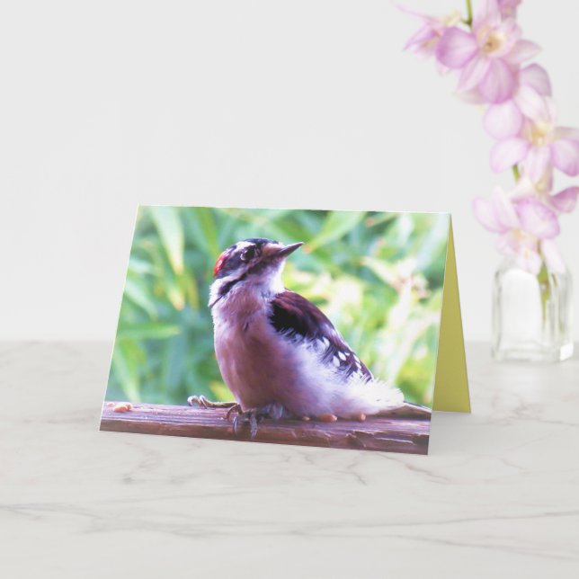 Tarjeta Joven macho lechoso carpintero en vela (Orquídea)