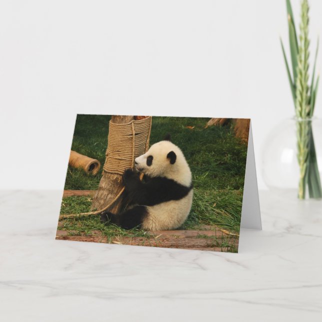 Tarjeta Joven panda gigante. Chengdu, China. (Anverso)