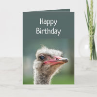 Joven una vez que te das vuelta el avestruz judío