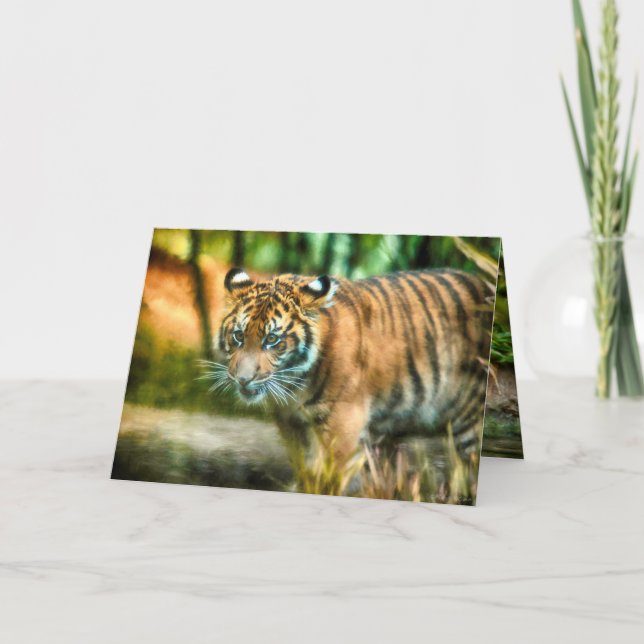 TARJETA JÓVENES MAYORES DE LA NACIÓN SUMATRA (Anverso)