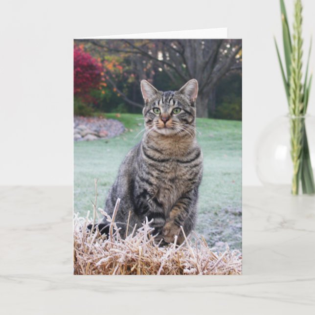 Tarjeta Joya en la paja (Anverso)