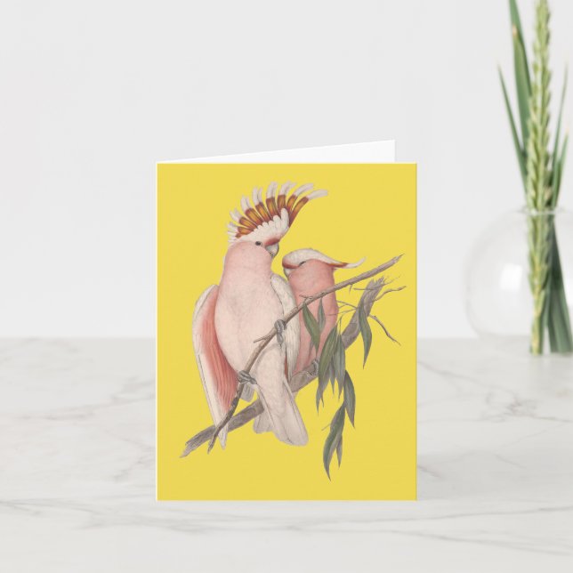 Tarjeta Juan Gould de Galah del australiano (Anverso)