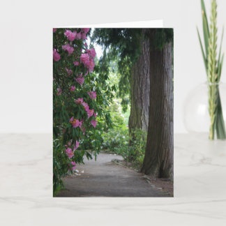 Tarjeta Jubilación general