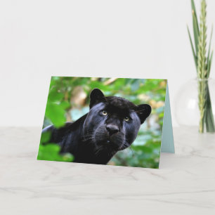 Tarjeta Juego de grandes gatos - 4