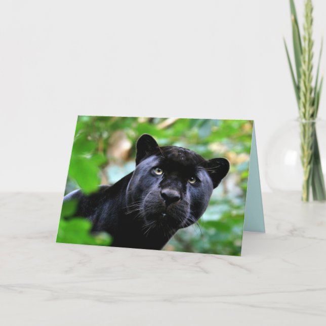 Tarjeta Juego de grandes gatos - 4 (Anverso)