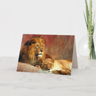 Tarjeta Juego de grandes gatos - 6