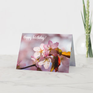 Tarjeta Juego De Luz De Sol Y Sombra En Petales Sakura