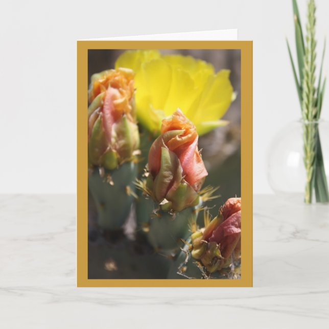 Tarjeta Juego de Thorns (Anverso)