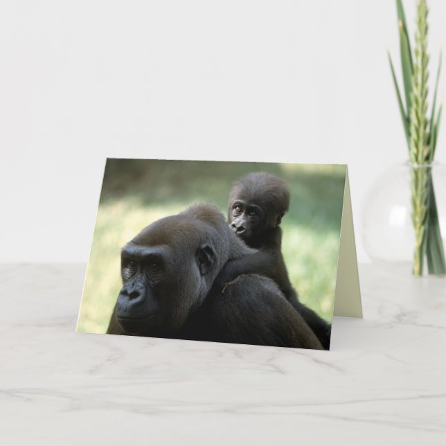 Tarjeta Juego de vida silvestre - Primates 11 (Anverso)