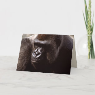 Tarjeta Juego de vida silvestre - Primates 13
