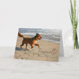 Tarjeta Juerguista despedida Perro en la playa