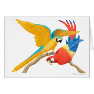 Tarjeta juguetona de los Macaws
