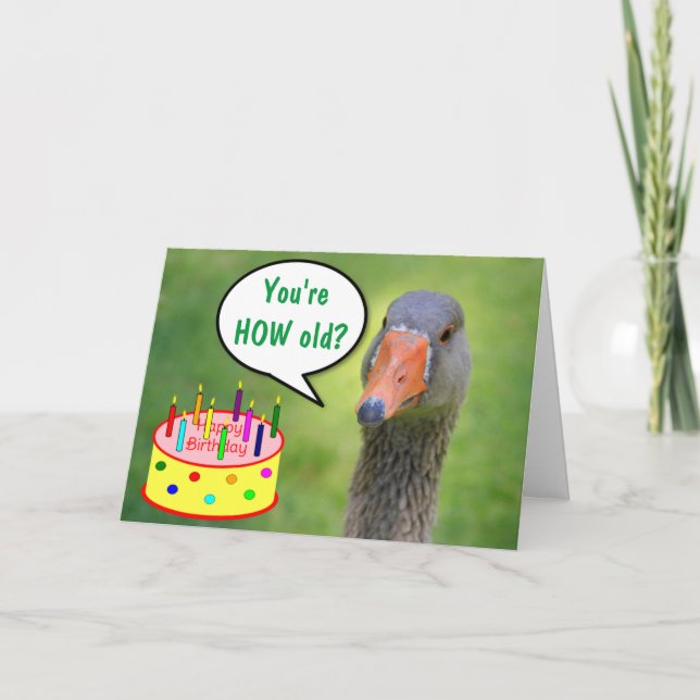 Tarjeta Juicio Goose Funny Cumpleaños (Anverso)