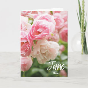 Tarjeta June Pink Rose Birth Month Flower Cumpleaños