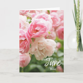 Tarjeta June Pink Rose Birth Month Flower Cumpleaños