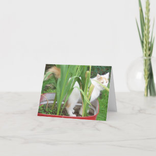 Tarjeta JUNGLE KITTY-HAPPY 30th SIS