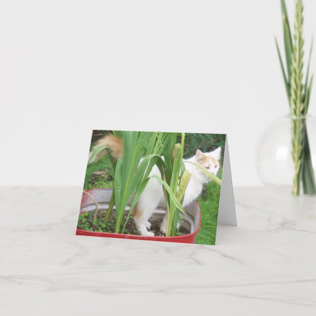 Tarjeta JUNGLE KITTY-HAPPY 30th SIS (Anverso)