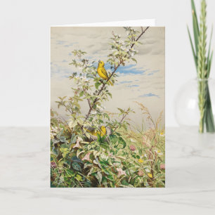 Tarjeta Junio   Fidelia Bridges