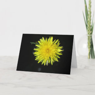 Tarjeta Just Dandy