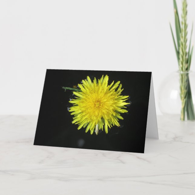Tarjeta Just Dandy (Anverso)