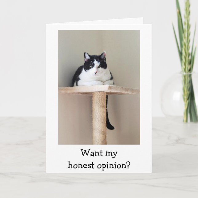 Tarjeta Just For Laughs Cat Cancer Support Card (Anverso)