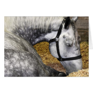 Tarjeta justa del caballo 5x7 de Puyallup