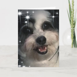 Tarjeta K-Cee Stars Gracias