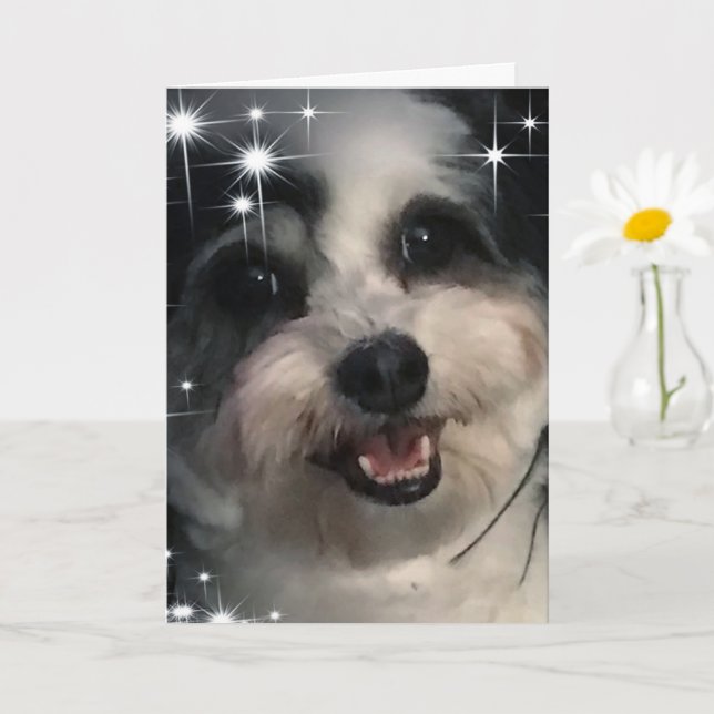 Tarjeta K-Cee Stars Gracias (Planta pequeña)