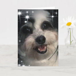 Tarjeta K-Cee Stars Gracias