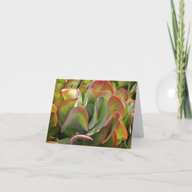 Tarjeta Kalanchoe notecard (Anverso)