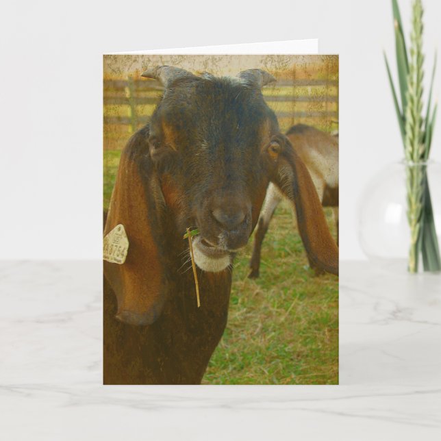 Tarjeta Kalvin Dice Hola (Anverso)