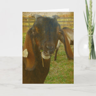 Tarjeta Kalvin Dice Hola